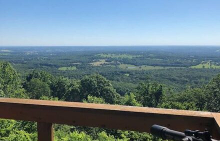 Gaither Mountain Cabin close to Compton, Ponca & Branson