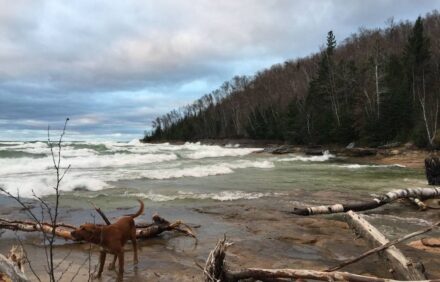 Harbor cozy cottage, Lake View, ‘Pottery Barn Style’! Pictured Rocks Cruises