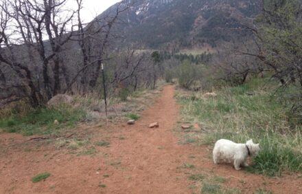 Come And Enjoy This Newly Renovated Gem Nestled In The Foothills Of Co Springs!