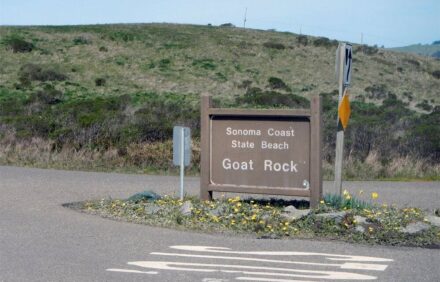 Stunning, Upscale, Oceanfront Gem Inside Goat Rock State Beach Park