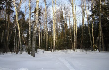 Red Quill Camp, A great place for outdoor recreation in all seasons!