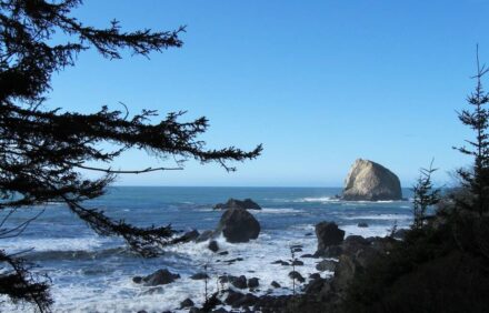 Lighthouse View Beach Cottage-Great Ocean Views- the Redwoods are a short drive