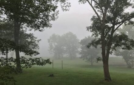 Beautiful Home On The White River Next Door to Wildcat Shoals Public Access Ramp