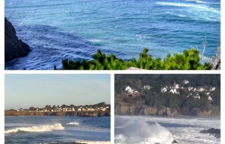 Cove Suite – BEST OCEAN FRONT VIEW, PRIVATE & SECLUDED