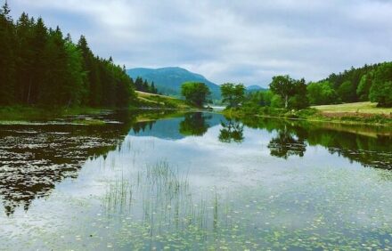 Barn-Style Bliss- 5 Star Home. Surrounded by Acadia!