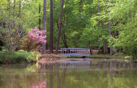 Spacious Lakefront Chalet Near Callaway Gardens & Roosevelt State Park