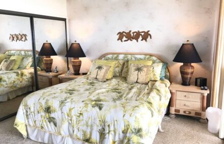 Kona Onenalo Magic Sands Oceanfront Home