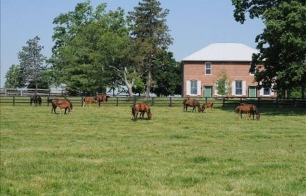 Renovated Train Station on Thoroughbred Horse Farm
