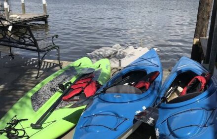 Bayou Life Lodging and Charter Fishing. Only 25 miles to the French Quarter.
