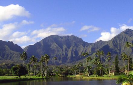 Once-In-A-Lifetime Ocean Views From All Rooms! Tropical Breezes! Full Of Aloha!