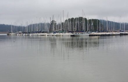 Directly On Lake Guntersville! Boat House Included! Convenience Meets Luxury!