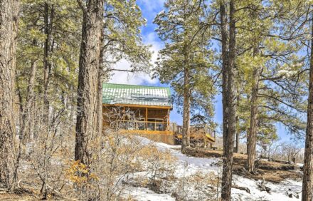 Quiet Cottage w/ Hot Tub: Backs up to Nat’l Forest