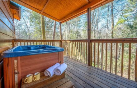 Just 3 minutes from the main parkway in Pigeon Forge. FREE WIFI