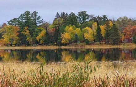 Private cabin on Norway Lake, 2 bedroom/sleeps 6