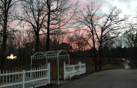 Deer Run – Hidden Gem Where You Can Enjoy Woods, Wildlife, and Gardens