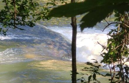 Family friendly cabin with an exclusive view of a waterfall on the Okatoma River