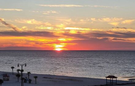 Unbelievable August Discounts…..book now – the beach is calling you