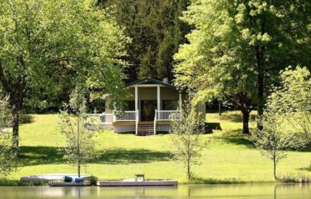 Seclusion in a beautiful setting where your dog can run free!